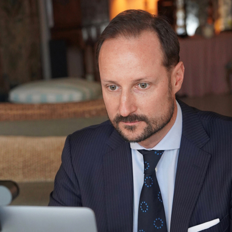 Crown Prince Regent visits ships digitally